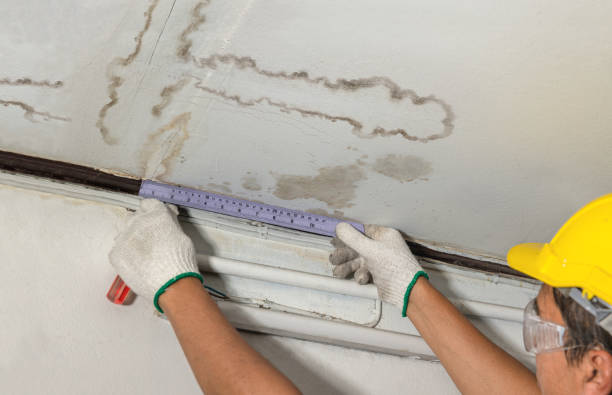 Reliable Mold Remediation contractor in Wright City, MO by Water Damage Irwin